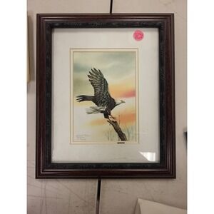 Kit Sheop Highest Flyer Eagle Print 80/2500 Framed Art‎ Signed Wildlife Bird